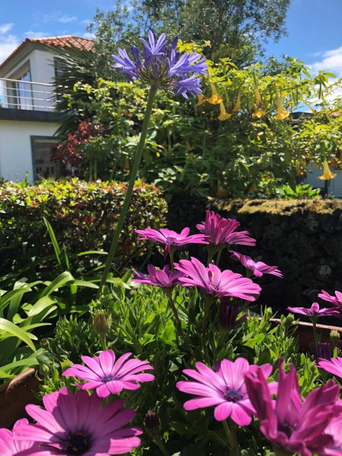 蓬塔德尔加达Quinta Da Bela Vista别墅 外观 照片