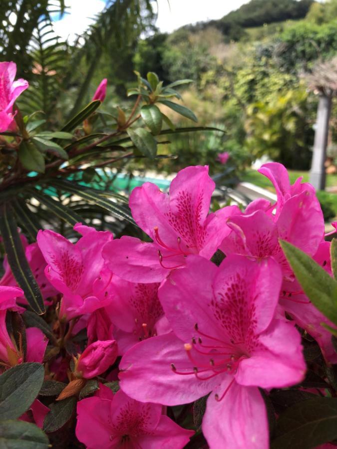 蓬塔德尔加达Quinta Da Bela Vista别墅 外观 照片